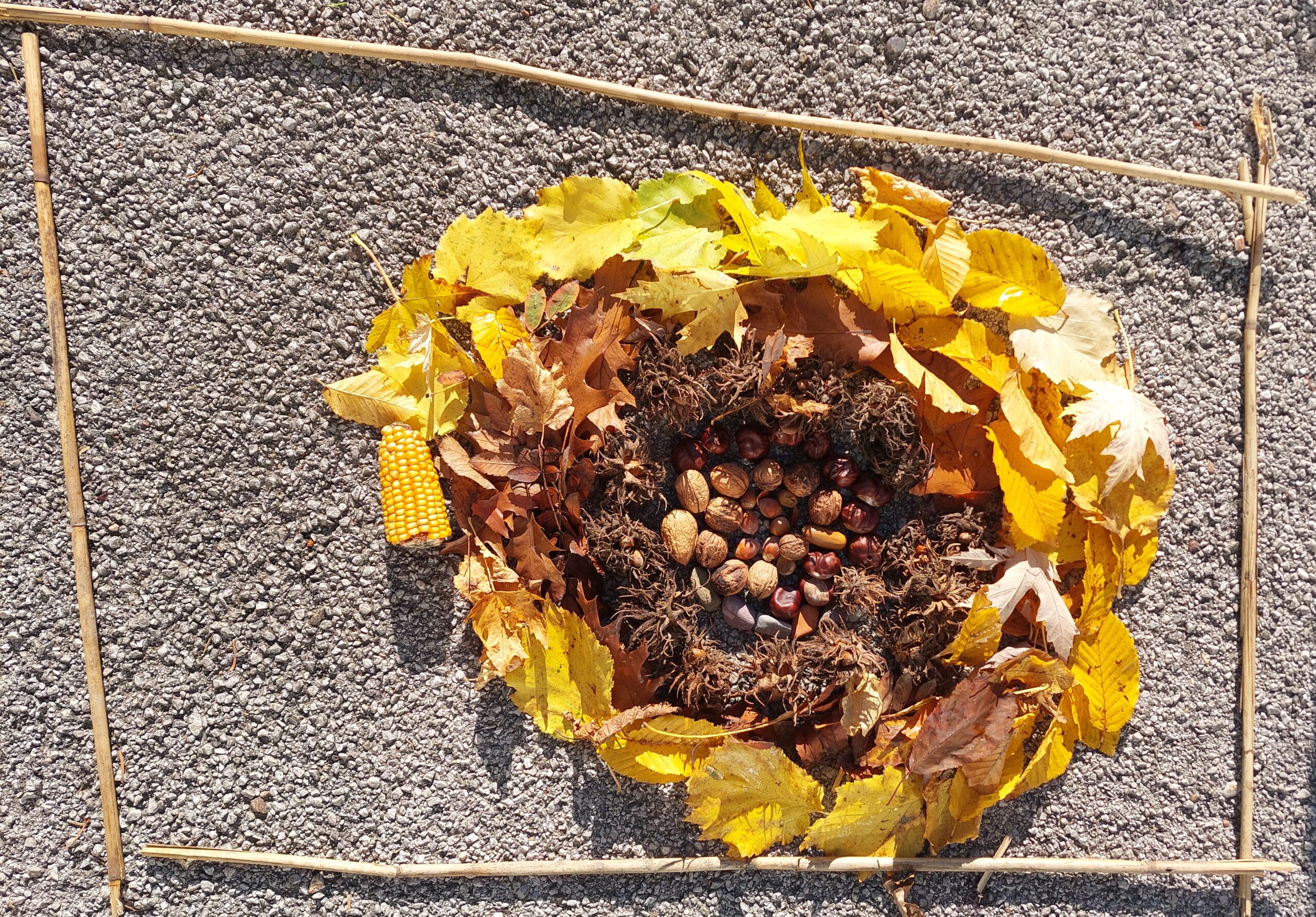 Herbstmandala